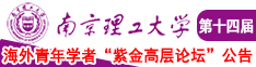 啊，啊，啊，好爽，好舒服，快点视频南京理工大学第十四届海外青年学者紫金论坛诚邀海内外英才！